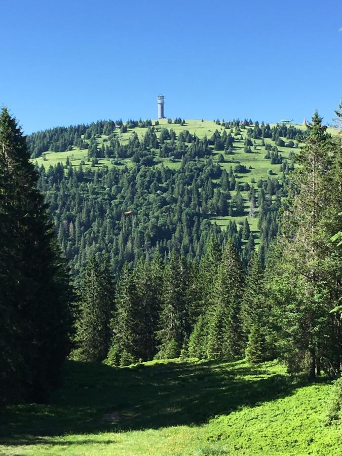 Ferienwohnung Heimweg Feldberg (Baden-Wurttemberg) Exterior foto