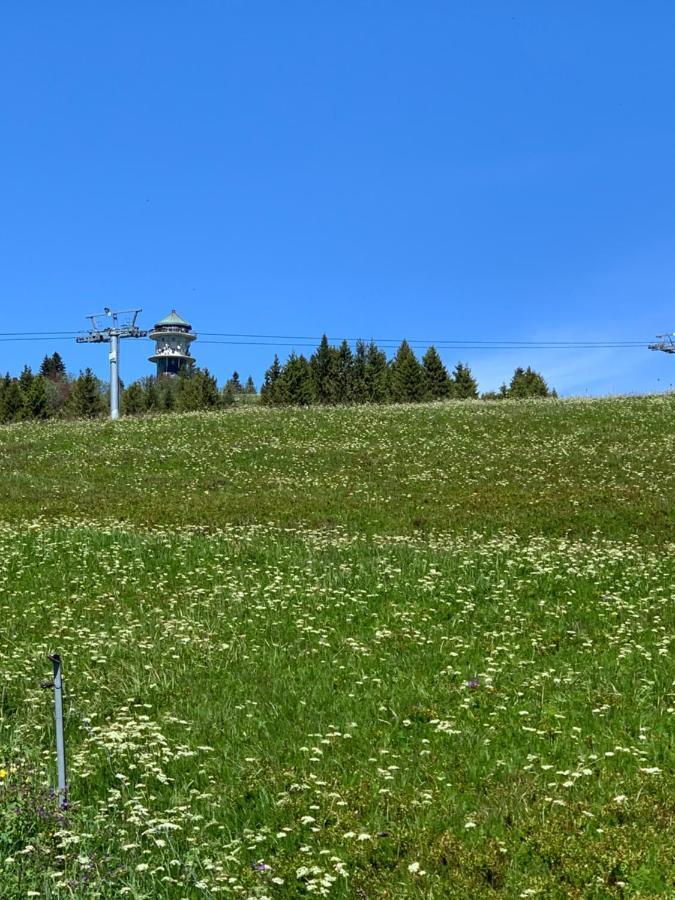 Ferienwohnung Heimweg Feldberg (Baden-Wurttemberg) Exterior foto