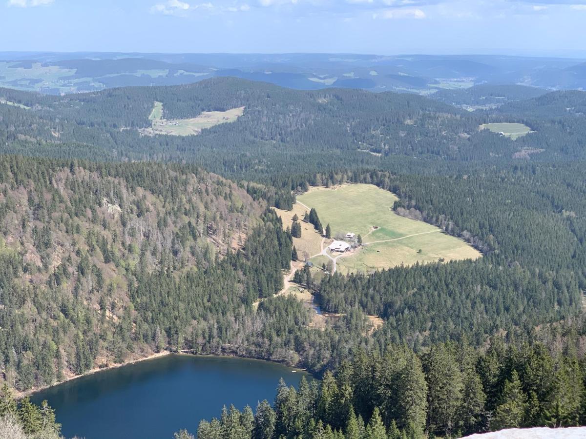 Ferienwohnung Heimweg Feldberg (Baden-Wurttemberg) Exterior foto