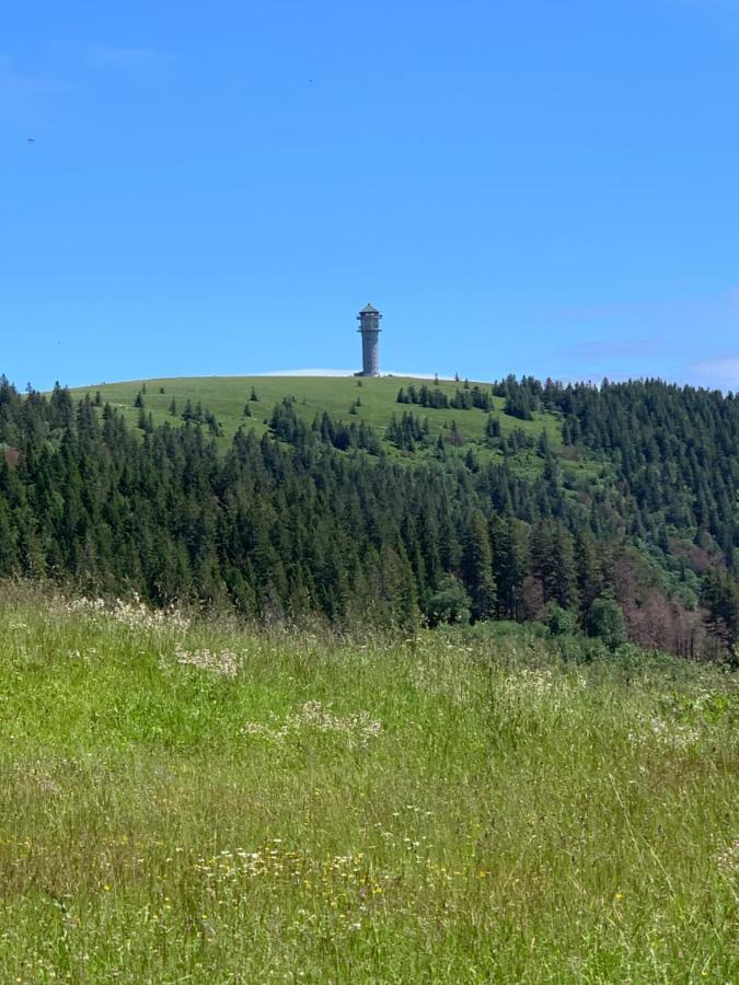 Ferienwohnung Heimweg Feldberg (Baden-Wurttemberg) Exterior foto