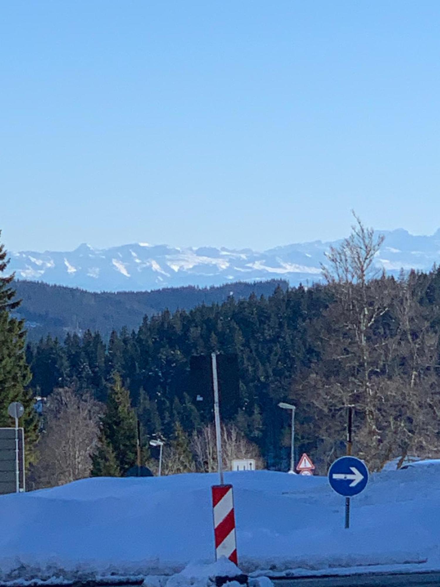 Ferienwohnung Heimweg Feldberg (Baden-Wurttemberg) Exterior foto